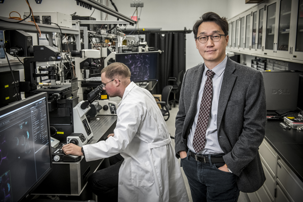 Faculty members in a research laboratory, demonstrating hands-on academic expertise.
