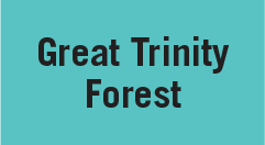 Great Trinity Forest