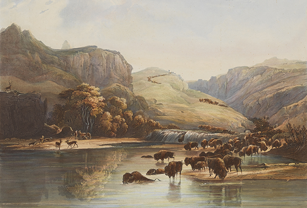 North America - Photographs, Manuscripts, and Imprints