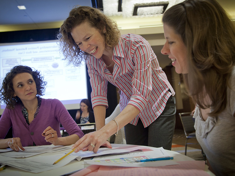 Dr. Leanne Ketterlin Geller at math-item writing workshop
