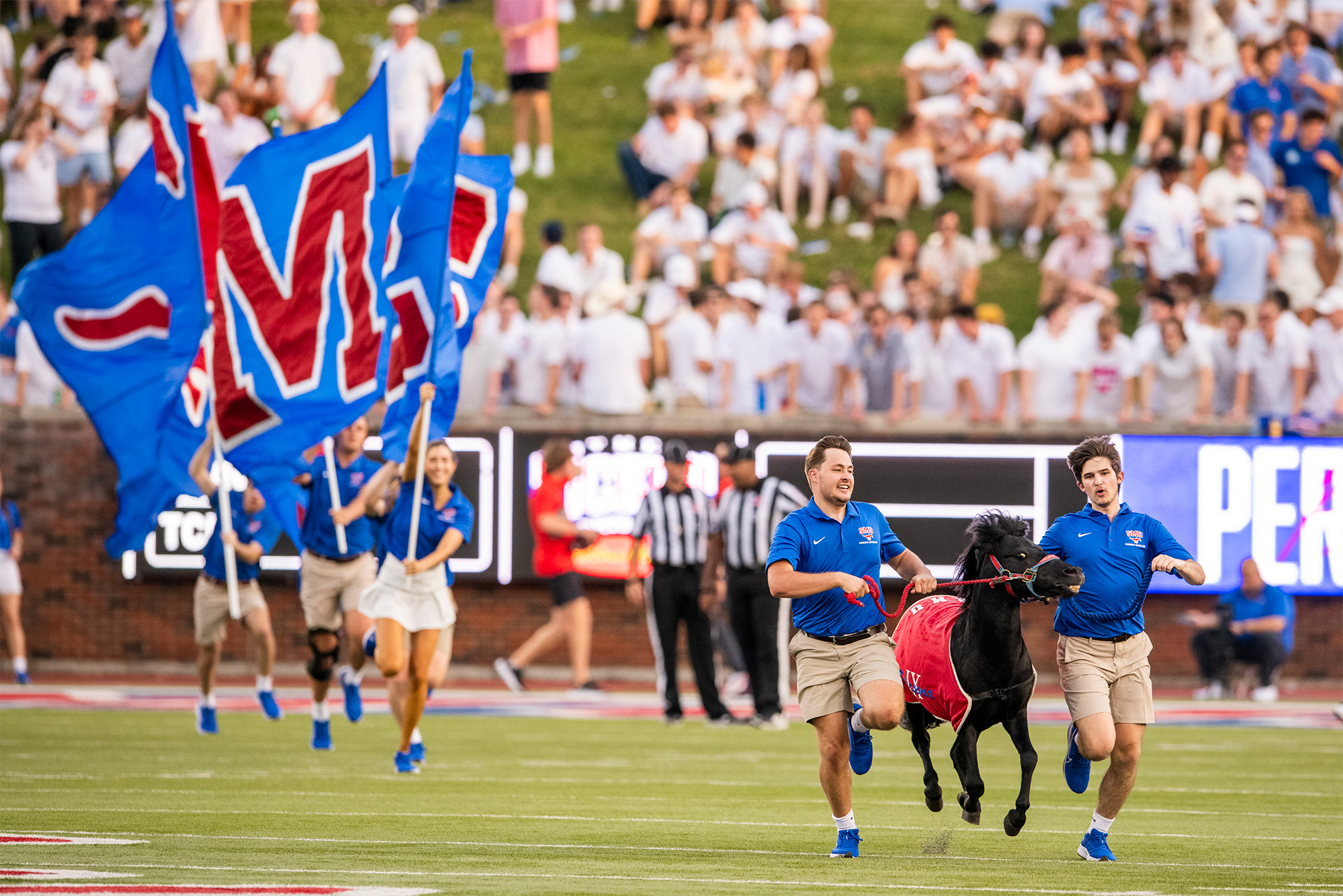 Peruna IX running across football field at game with handlers and students running with 色花堂_色花堂 98堂 blue and red flags behind